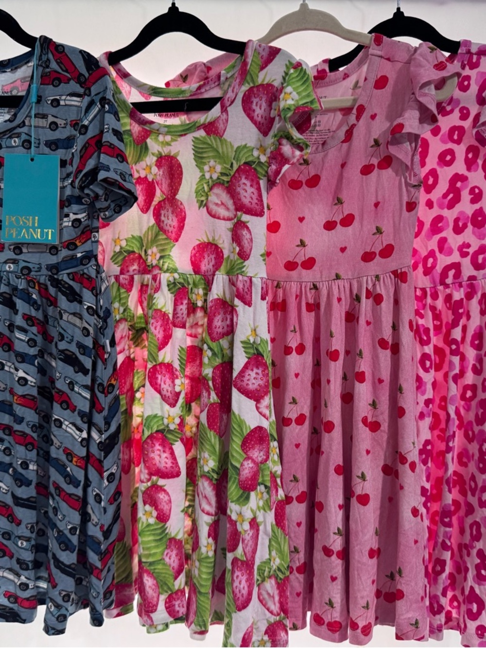 Posh peanut 2T twirl bundle (4)